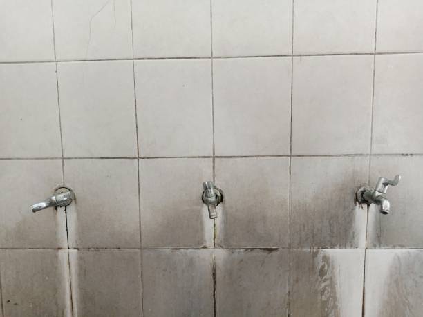 Best Water damage restoration near me  in Tobaccoville, NC