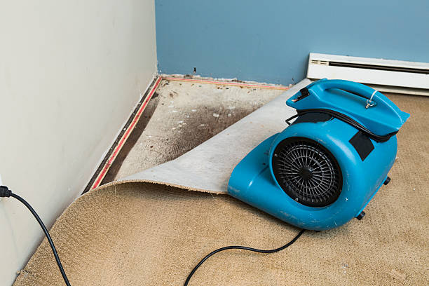 Best Commercial water damage restoration  in Tobaccoville, NC